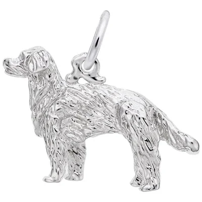 Best necklaces and pendants with vintage coin pendants for a unique accessory-Rembrandt Golden Retriever Charm in Sterling Silver