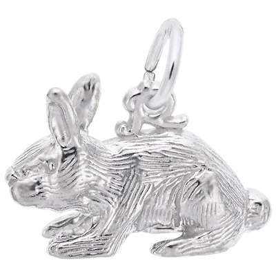 Best necklaces and pendants with statement designs for a fashionable accessory-Rembrandt Rabbit Charm in Sterling Silver